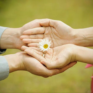 Meet your Posher, Adline